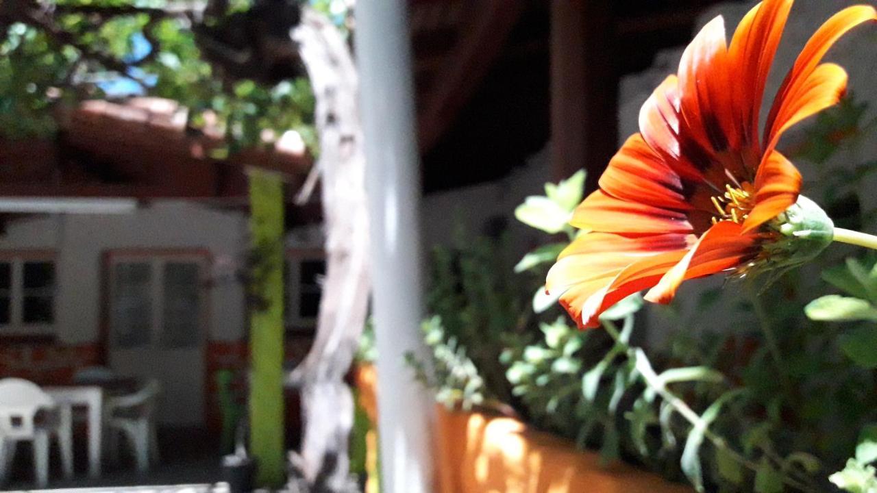 Hospedaje Don Alberto Hotel Потрерилос Екстериор снимка
